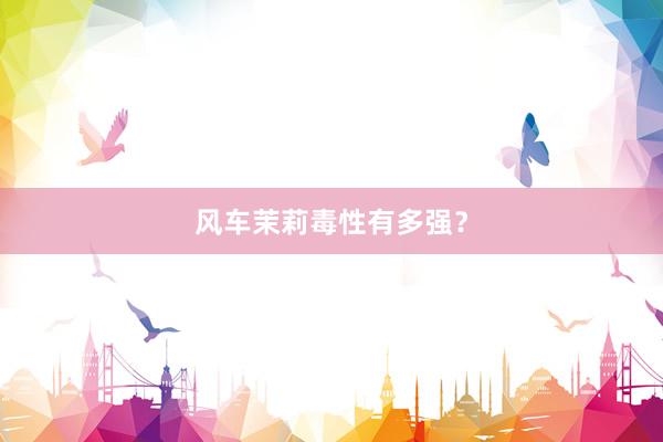 风车茉莉毒性有多强？